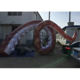 Tentacle 05