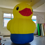 Duck 03