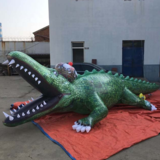 Crocodile 191