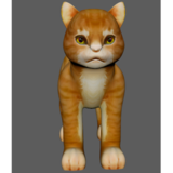Cat 28