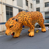 Leopard 04
