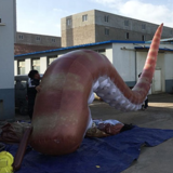 Tentacle 04