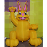 Rabbit 06